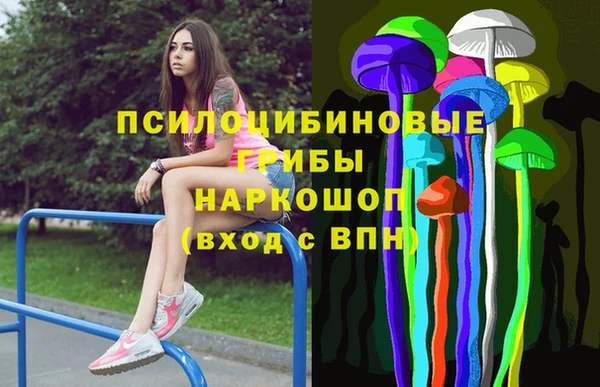 мдма Приозерск