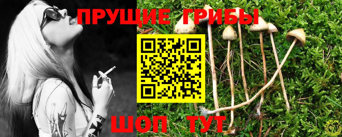 Псилоцибиновые грибы ЛСД  Вход с VPN  Набережные Челны 