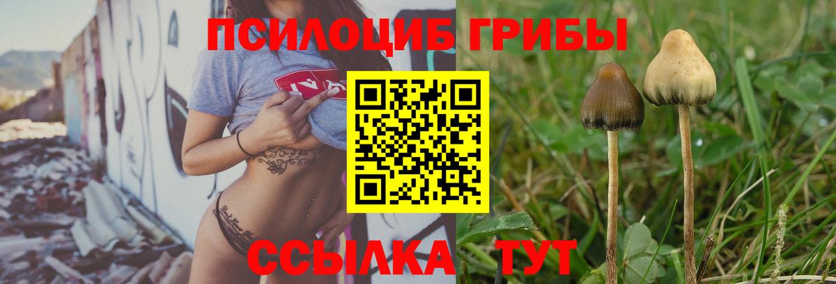 Псилоцибиновые грибы Magic Shrooms Набережные Челны